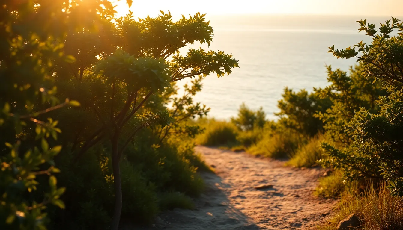 아름다운 해변 풍경